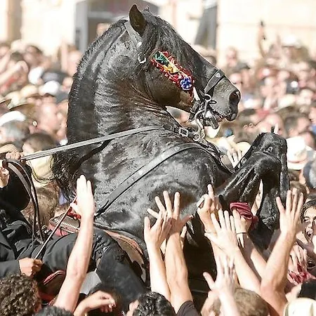 My Adults Only By My Ti Hotel 3*