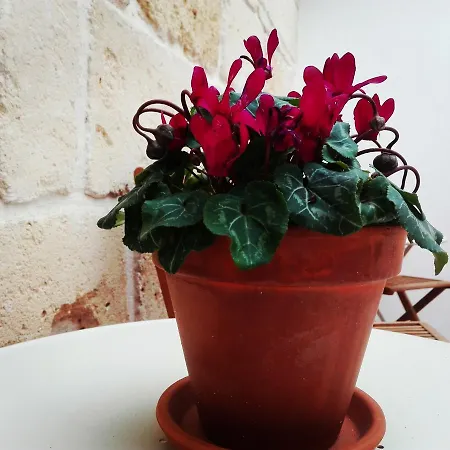 My Adults Only By My Ti