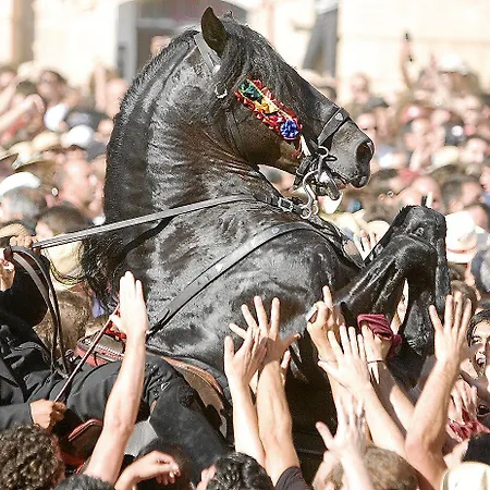 酒店 My Adults Only By My Ti 休达德亚