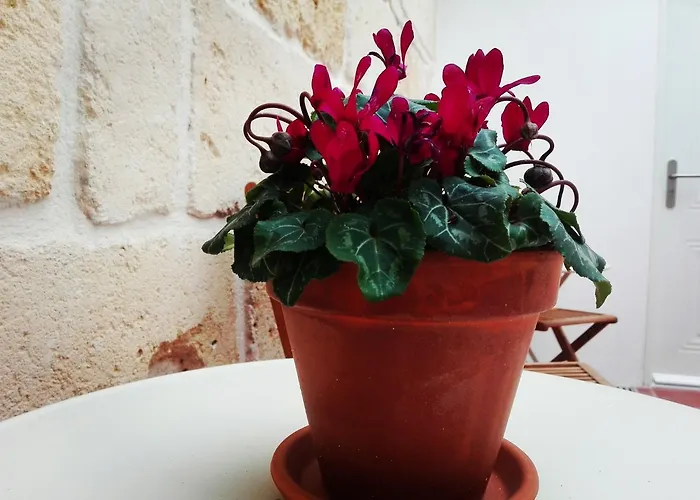 My Adults Only By My Ti